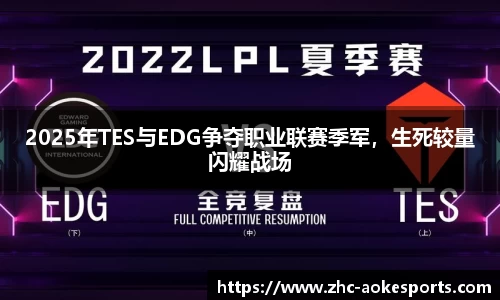 2025年TES与EDG争夺职业联赛季军,生死较量闪耀战场